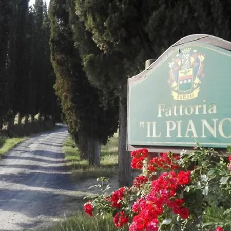 Agriturismo Fattoria Il Piano - Casa Bugno - San Gimignano-2